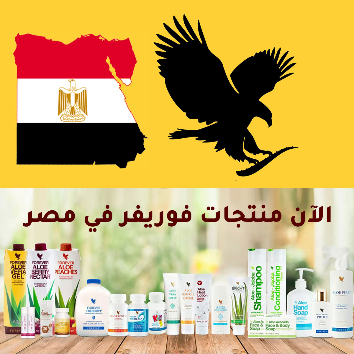 منتجات شركة فوريفر في مصر